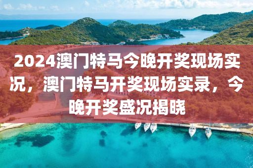 2024澳門特馬今晚開獎(jiǎng)現(xiàn)場實(shí)況，澳門特馬開獎(jiǎng)現(xiàn)場實(shí)錄，今晚開獎(jiǎng)盛況揭曉