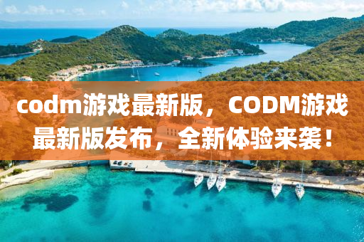 codm游戲最新版，CODM游戲最新版發(fā)布，全新體驗(yàn)來襲！液壓動(dòng)力機(jī)械,元件制造