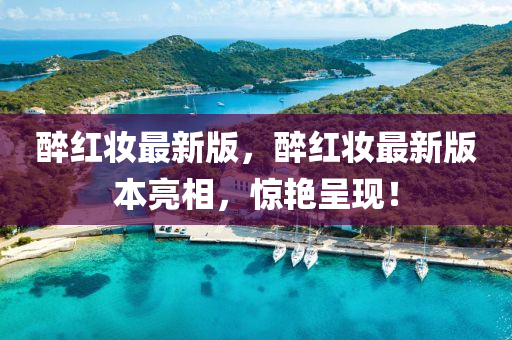 醉紅妝最新版，醉紅妝最新版本亮相，驚液壓動(dòng)力機(jī)械,元件制造艷呈現(xiàn)！
