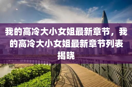我的高冷大小女姐最新章節(jié)，我的高冷大小女姐最新章節(jié)列表揭曉