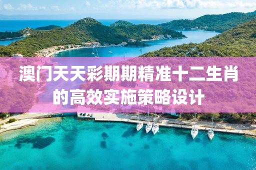 澳門天天彩期期精準(zhǔn)十二生肖的高效實施策略設(shè)計液壓動力機械,元件制造