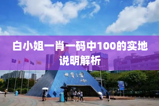 白小姐一肖液壓動力機(jī)械,元件制造一碼中100的實(shí)地說明解析