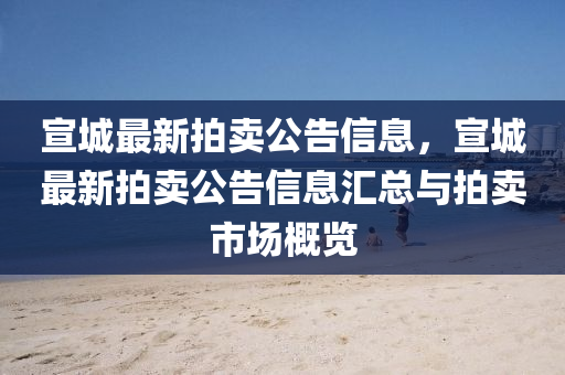 宣城最新拍賣公告信息，宣城最新拍賣公告信息匯總與拍賣市場概液壓動(dòng)力機(jī)械,元件制造覽