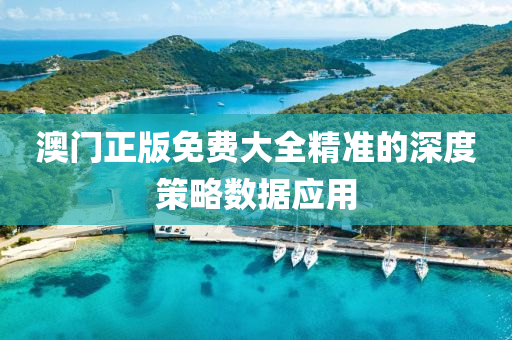 澳門正版免費(fèi)大全精準(zhǔn)液壓動力機(jī)械,元件制造的深度策略數(shù)據(jù)應(yīng)用