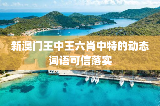 新澳門王中王六肖中特的動態(tài)詞語可信落實液壓動力機械,元件制造