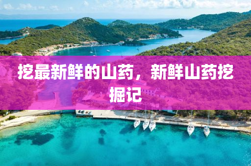 挖最新鮮的山藥，新鮮山藥挖掘記液壓動力機械,元件制造