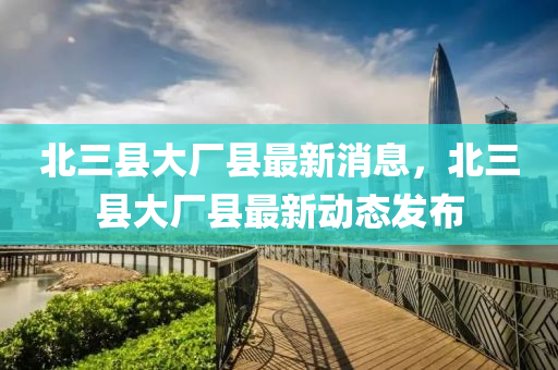 北三縣大廠縣最新消息，北三縣大廠縣最新動態(tài)發(fā)布液壓動力機(jī)械,元件制造