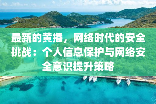 最新的黃播，網(wǎng)絡(luò)時(shí)代的安全挑戰(zhàn)：個(gè)人信息保護(hù)與網(wǎng)絡(luò)安全意識(shí)提升策略液壓動(dòng)力機(jī)械,元件制造