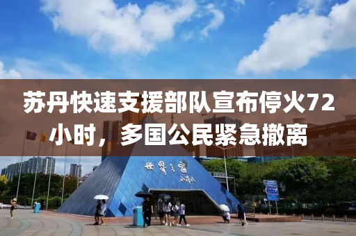 蘇丹快速支援部隊(duì)宣布?；?2小時(shí)，多國(guó)公民緊急撤離液壓動(dòng)力機(jī)械,元件制造
