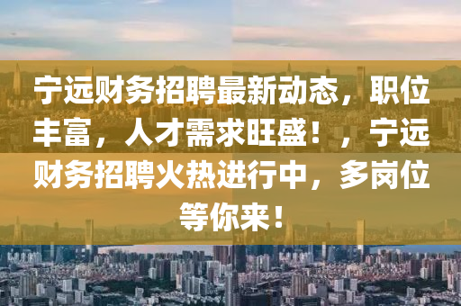 寧遠(yuǎn)財(cái)務(wù)招聘最新動(dòng)態(tài)，職位豐富，人才需求旺盛！，寧遠(yuǎn)液壓動(dòng)力機(jī)械,元件制造財(cái)務(wù)招聘火熱進(jìn)行中，多崗位等你來(lái)！
