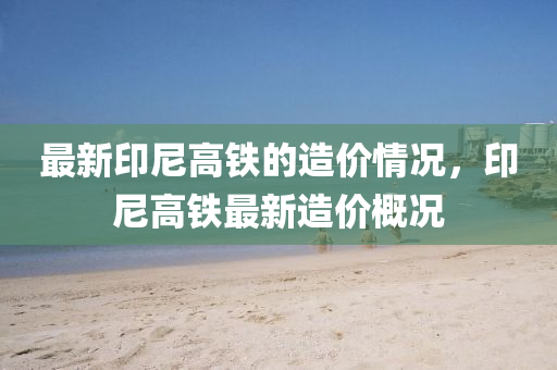 最新印尼高鐵的造價情況，印尼高鐵最新造價概況液壓動力機械,元件制造