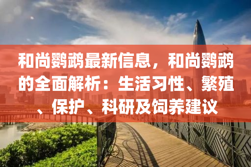 和尚鸚鵡最新信息，和尚鸚鵡的全面解析：生活習性、繁殖、保護、科研及飼養(yǎng)建議液壓動力機械,元件制造