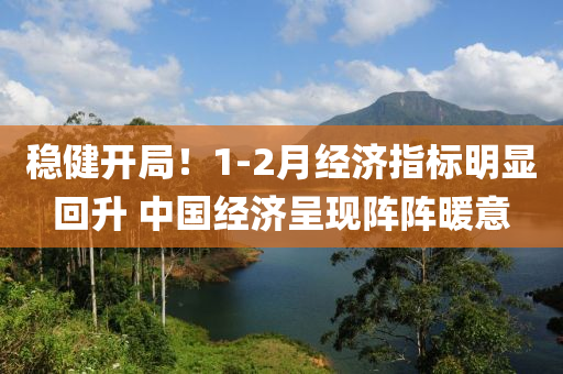 穩(wěn)健開局！1-2月經(jīng)濟指標明顯回升 中國經(jīng)濟呈現(xiàn)陣陣暖意液壓動力機械,元件制造