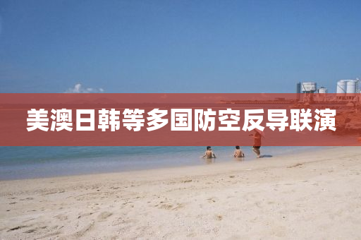 美澳日韓等液壓動力機械,元件制造多國防空反導(dǎo)聯(lián)演