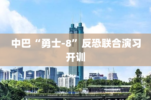 中巴“勇士-8”反恐聯(lián)合演習(xí)開訓(xùn)液壓動(dòng)力機(jī)械,元件制造