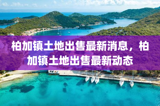 柏加鎮(zhèn)土地出售最新消息，柏加鎮(zhèn)土地出售最新動態(tài)液壓動力機械,元件制造