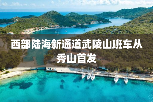 西部陸海新通道武陵山班液壓動(dòng)力機(jī)械,元件制造車從秀山首發(fā)