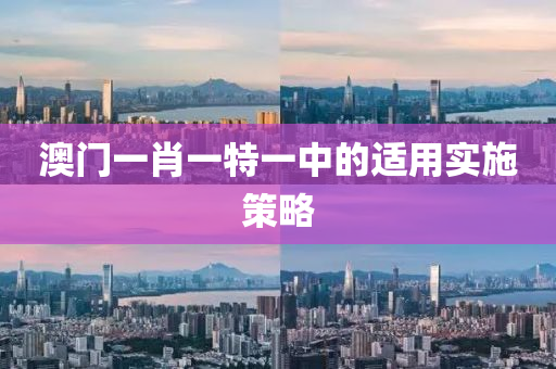 澳門一肖一特一中的適液壓動力機械,元件制造用實施策略