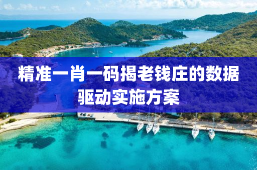 精準(zhǔn)一肖一碼揭老錢莊的數(shù)據(jù)驅(qū)動實施方案液壓動力機(jī)械,元件制造