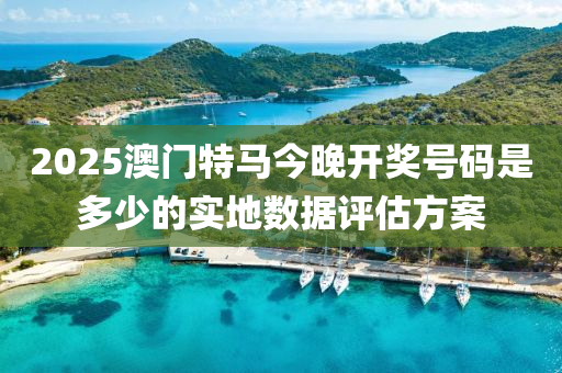 2025澳門特馬今晚開獎號碼是多少的實地數(shù)據(jù)評估方案液壓動力機械,元件制造