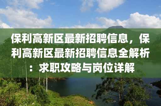 保利高新區(qū)最新招聘信息，保利高新區(qū)最新招聘信息全解析：求職攻略與崗位詳解液壓動力機械,元件制造