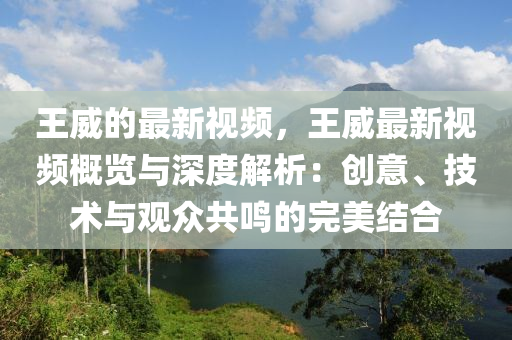 王威的最新視頻，王威最新視頻概覽與深度解析：創(chuàng)意、技術(shù)與觀眾共鳴的完美結(jié)合液壓動力機械,元件制造