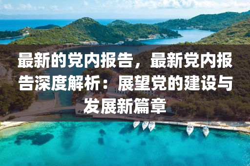 最新的黨內(nèi)報(bào)告，最新黨內(nèi)報(bào)告深度解析：展望黨的建設(shè)與發(fā)展新篇章液壓動(dòng)力機(jī)械,元件制造