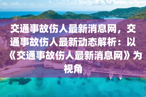 交通事故傷人最新消息網(wǎng)，交通事故傷人最新動(dòng)態(tài)解析：以《交通事故傷人最新消息網(wǎng)》為視角液壓動(dòng)力機(jī)械,元件制造