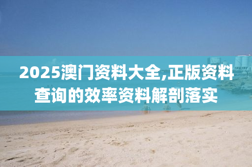 2025澳門資料大全,正版資料查詢的效率資料解剖落實液壓動力機械,元件制造