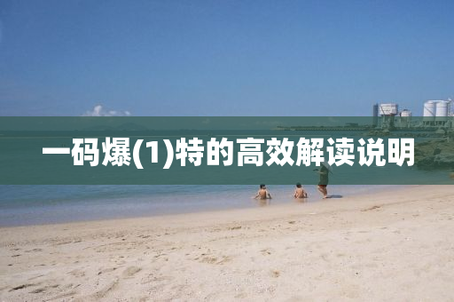 一碼爆(1)特的高效解讀說(shuō)明液壓動(dòng)力機(jī)械,元件制造