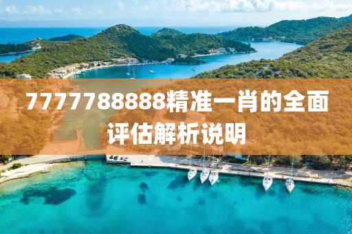 7777788888精準(zhǔn)一肖的全面評估解析說明液壓動力機(jī)械,元件制造