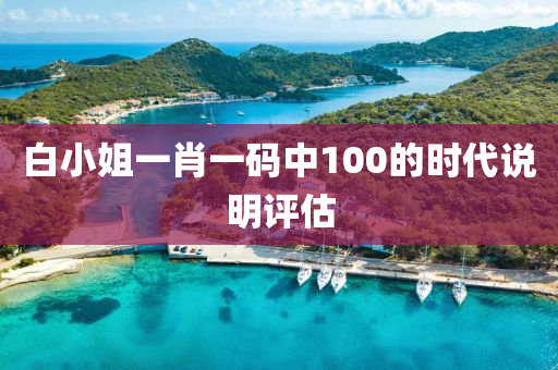 白小姐一肖一碼中100的液壓動力機(jī)械,元件制造時代說明評估