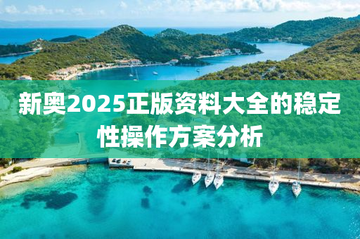 新奧2025正版資料大全的穩(wěn)定性操作方案分析液壓動(dòng)力機(jī)械,元件制造