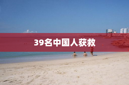 39名中國(guó)人獲救液壓動(dòng)力機(jī)械,元件制造
