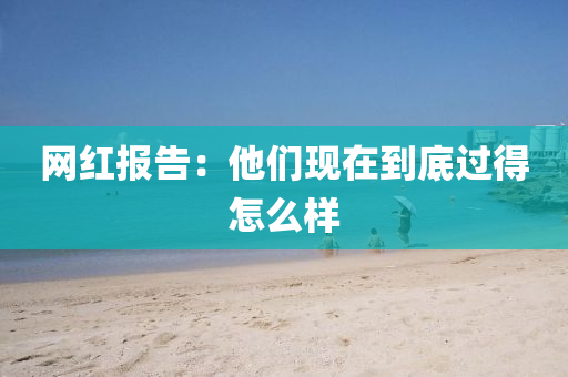 網(wǎng)紅報(bào)告：他們現(xiàn)在到底過得怎么樣液壓動(dòng)力機(jī)械,元件制造