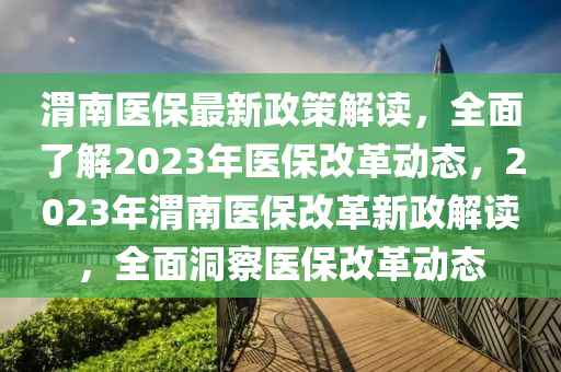 渭南醫(yī)保最新政策解讀，全面了解2023年醫(yī)保改革動態(tài)，2023年渭南醫(yī)保改革新政解讀，全面洞察醫(yī)保改革動態(tài)液壓動力機(jī)械,元件制造