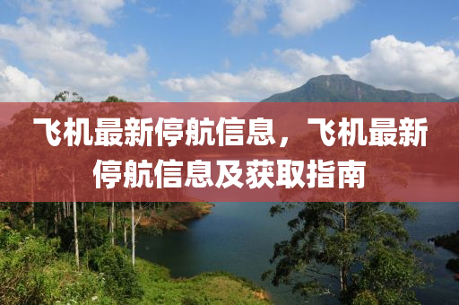 飛機(jī)最新停航信息，飛機(jī)最新停航信息及獲取指南液壓動(dòng)力機(jī)械,元件制造