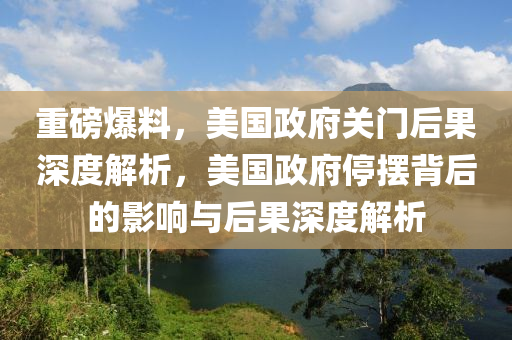 重磅爆料，美國政府關(guān)門后果深度解析，美國政府停擺背后的影響與后果深度解析液壓動力機械,元件制造