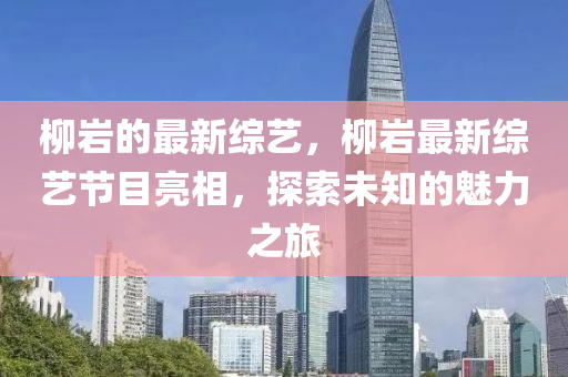 柳巖的最新綜藝液壓動力機械,元件制造，柳巖最新綜藝節(jié)目亮相，探索未知的魅力之旅