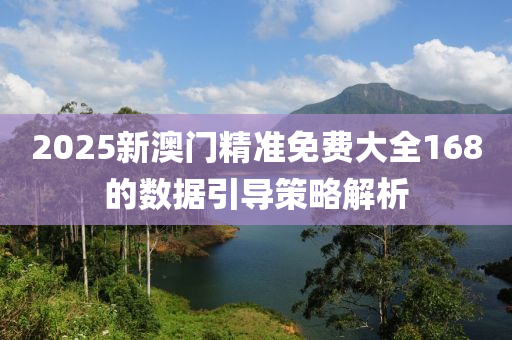 2025新澳門(mén)精準(zhǔn)免費(fèi)大全168的數(shù)據(jù)引導(dǎo)策略解析液壓動(dòng)力機(jī)械,元件制造