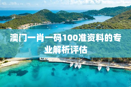 澳門一肖一碼100準資料的專業(yè)解析評估液壓動力機械,元件制造