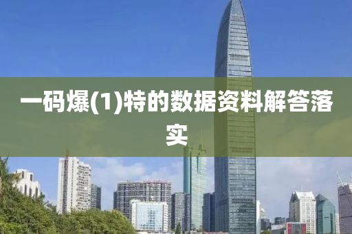 一碼爆(1)特的數據資料解答落實液壓動力機械,元件制造