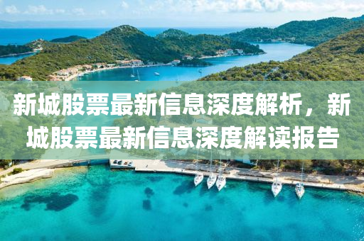 新城股票最新信息深度解析，新城股票最新信息深度解讀報告液壓動力機械,元件制造