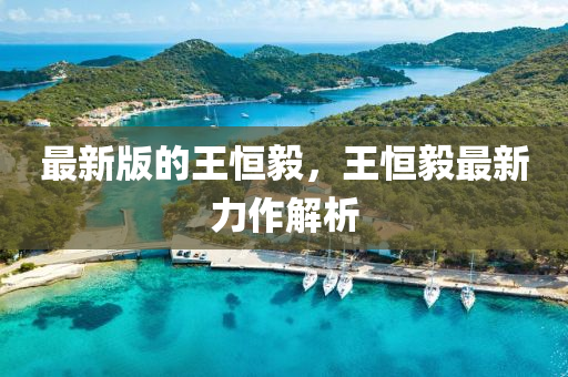 最新版的王恒毅，王恒毅最新力作解析液壓動(dòng)力機(jī)械,元件制造