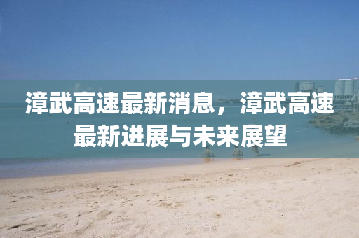 漳武高速最新消息，漳武高速最新進(jìn)展與未來(lái)展望液壓動(dòng)力機(jī)械,元件制造