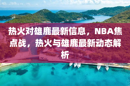 熱火對雄鹿最新信息，NBA焦點戰(zhàn)，熱火與雄鹿最新動態(tài)解析液壓動力機械,元件制造