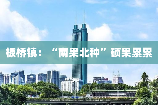 板橋鎮(zhèn)：“南果北種”碩液壓動(dòng)力機(jī)械,元件制造果累累