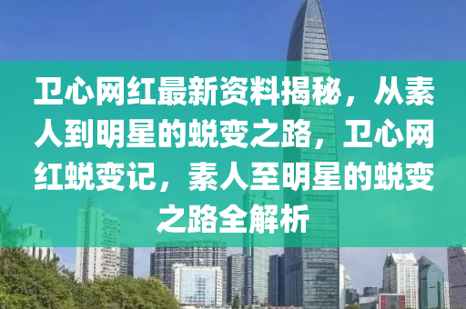衛(wèi)心網(wǎng)紅最新資料揭秘，從素人到明星的蛻變之路，衛(wèi)心網(wǎng)紅蛻變記，素人至明星的蛻變之路全解析液壓動(dòng)力機(jī)械,元件制造