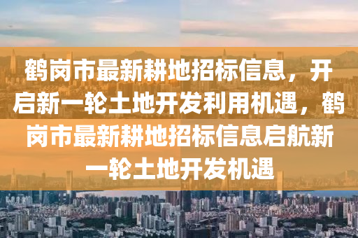鶴崗市最新耕地招標(biāo)信息，開(kāi)啟新一輪土地開(kāi)發(fā)利用機(jī)遇，鶴崗市最新耕地招標(biāo)信息啟航新一輪土地開(kāi)發(fā)機(jī)遇液壓動(dòng)力機(jī)械,元件制造