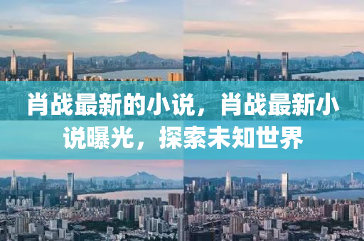 肖戰(zhàn)最新的小說(shuō)，肖戰(zhàn)最新小說(shuō)曝光，探索未知世界液壓動(dòng)力機(jī)械,元件制造